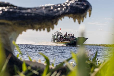 airboat rides st johns river